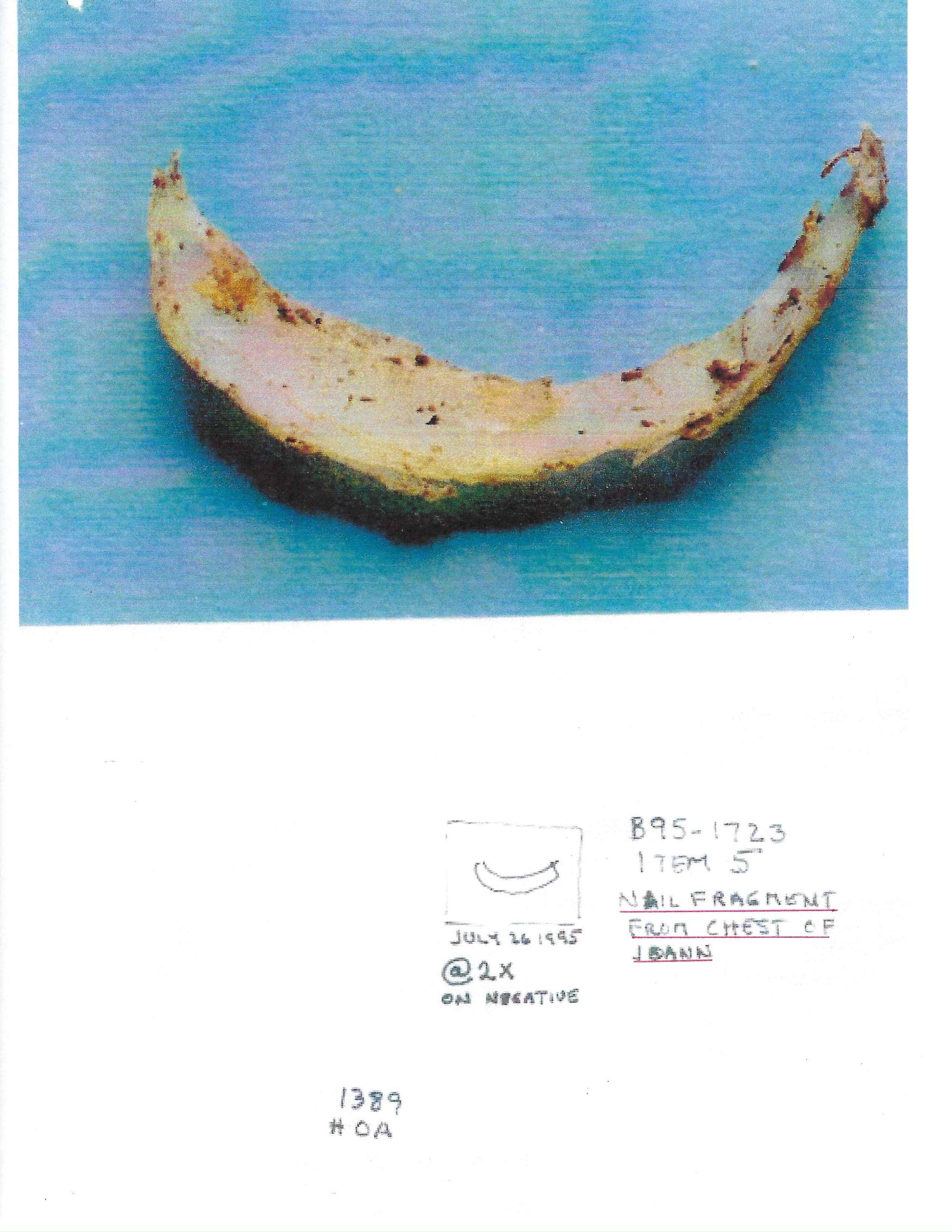 image of the Fingernail fragment found on Joann's chest